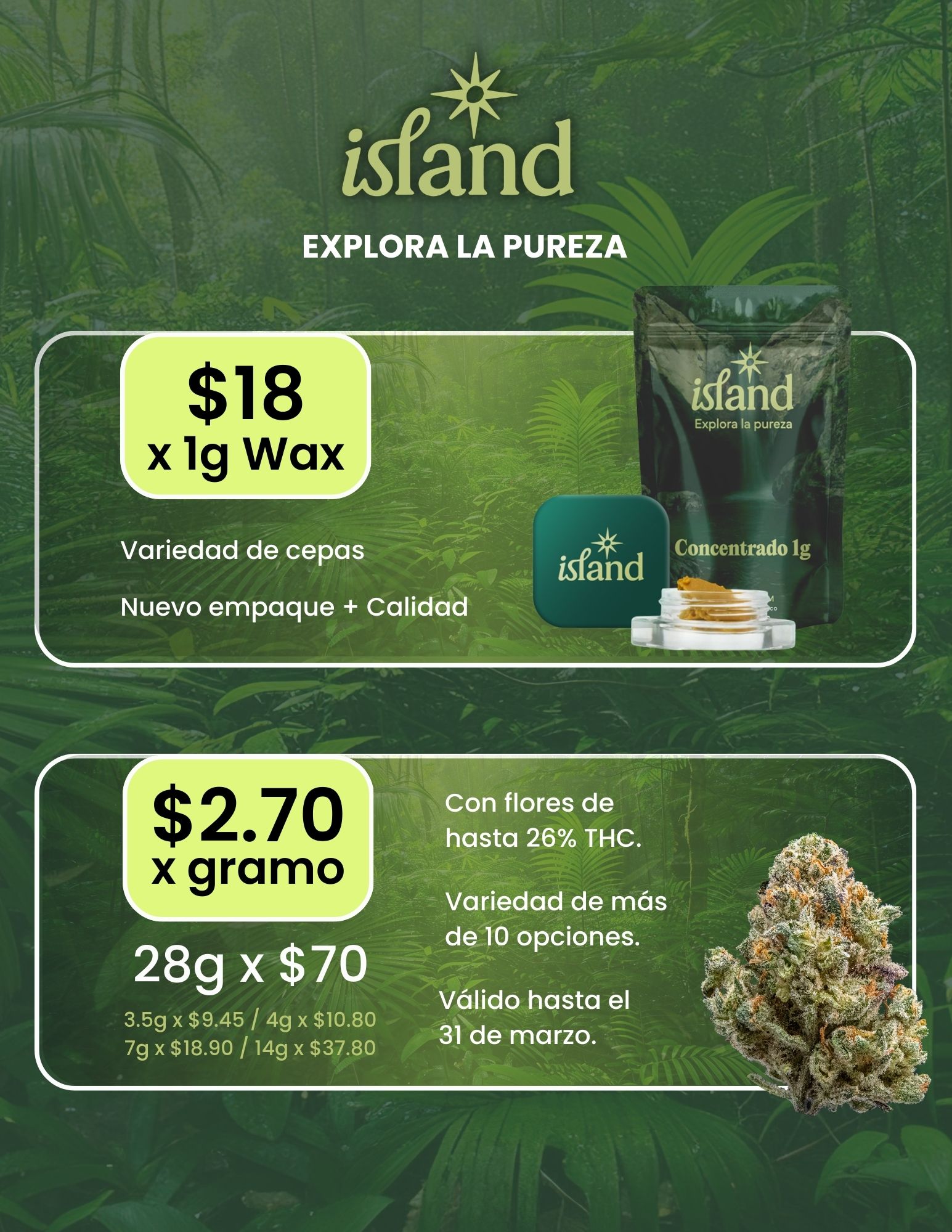 Flyers-POS-Temporada-Febrero-2026-14